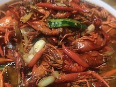 -杨氏青龙虾·羊蝎子(托乐嘉店)