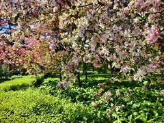 -长春市南湖公园