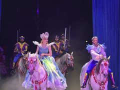 -海合安武汉极地海洋公园