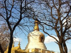 景点-护国法轮寺