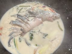 -鲜潭蒸汽石锅鱼(五道口购物中心店)