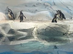 -上海海洋水族馆