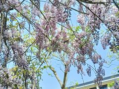 -上海海洋大学(临港校区)