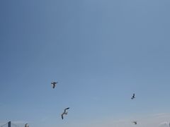 -星海广场