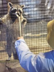 -酷嗒动物文化乐园(cutezoo西溪乐天城店)