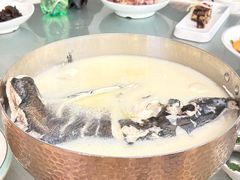 -松沪名灶·新上海菜(飞航吾悦广场店)