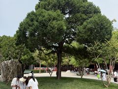 -华清宫景区