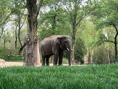 -北京野生动物园