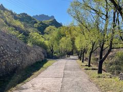 -云岫谷游猎自然风景区