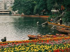 -荔湾湖公园