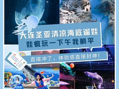 -大连圣亚海洋世界