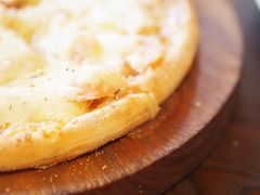 -百好乐宠物友好餐厅(朝外大街店)