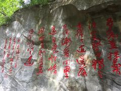 -少华山国家森林公园