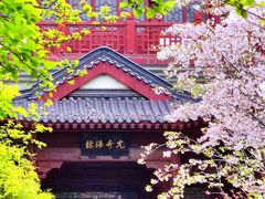 -堤角公园