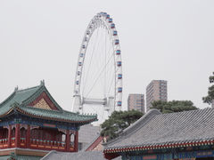 -天津大悲禅院