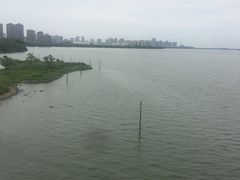 -艾溪湖湿地公园