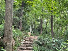 -青龙山国家森林公园