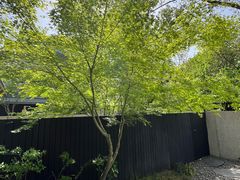 -木守西溪溪隐餐厅