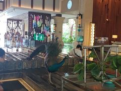 -西双版纳融创皇冠假日度假酒店