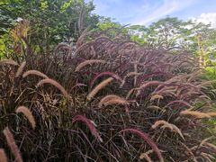 -深圳市人才园(深南大道店)