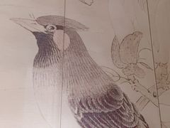 -华夏良子·足道SPA艾灸(三里屯店)