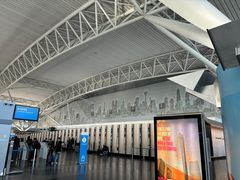 -约翰·菲茨杰拉德·肯尼迪国际机场