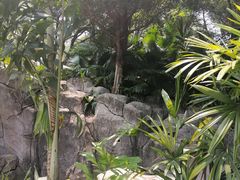 -晓港公园
