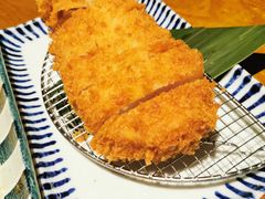 -堂本家洋食别馆·炸猪排(中心城店)
