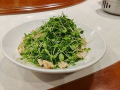 -正兴蜀园(科技园区店)
