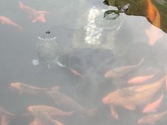 -清漾毛氏文化村