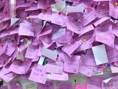 -雨霖祥和炖肉(南市店)