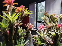-扶摇湘宴·烤鸭·湘粤宴(中关村·北大店)