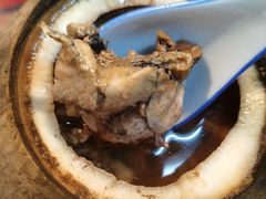 原只椰子炖竹丝鸡-達揚原味燉品(文明路店)