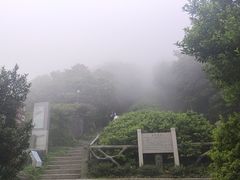 -梧桐山风景名胜区