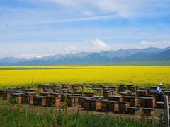 -青海湖国家重点风景名胜区