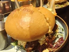 -bluefrog蓝蛙(水游城店)