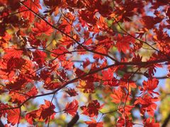 -本溪老边沟风景区