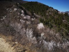 -阳台山自然风景区