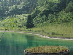 -武陵山森林公园