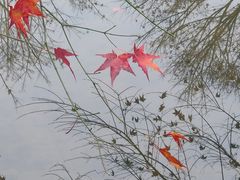 -田野绿世界
