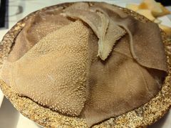 -田园肥牛鲍鱼先生(新北店)