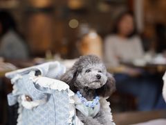 -茶是一枝花泡茶店