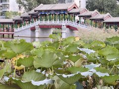 -西海子公园