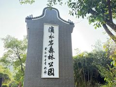 -滴水岩森林公园