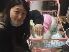 -猫色咖啡·猫咖