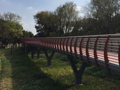 -王借岗森林公园