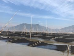 -北岐滩涂