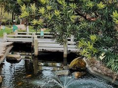 -中山市树木园