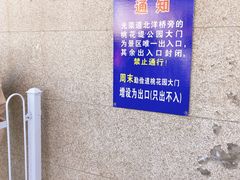 -桃花堤公园