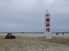 -东郊椰林